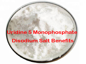 What Are The Benefits Of Uridine 5 Monophosphate Disodium Salt?